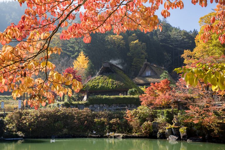 Tour of Shirakawago + Onsen + Hiking Waterfall | Happy Plus Corp