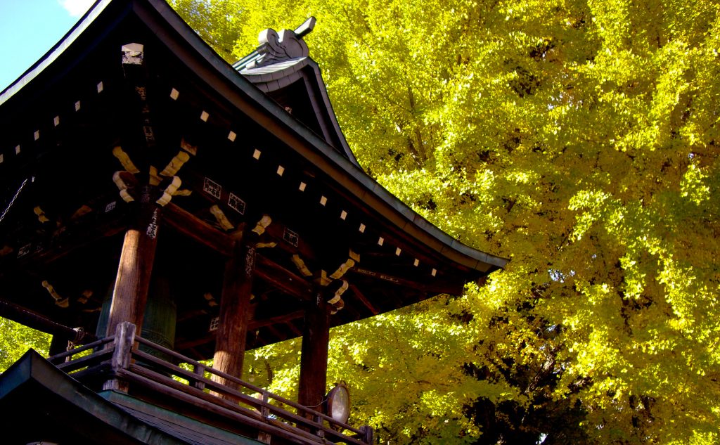 高山国分寺の秋